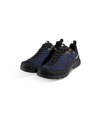 Обувки Mammut Alnasca IV Low GTX Men